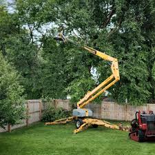 Best Tree Health Inspection  in Home, WA