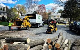 Best Utility Line Clearance  in Home, WA