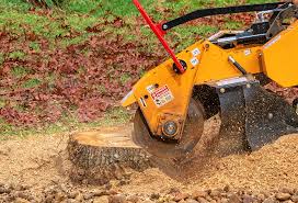 Best Tree Removal  in Home, WA