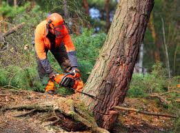 Best Landscape Design and Installation  in Home, WA