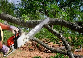 Best Lawn Pest Prevention  in Home, WA